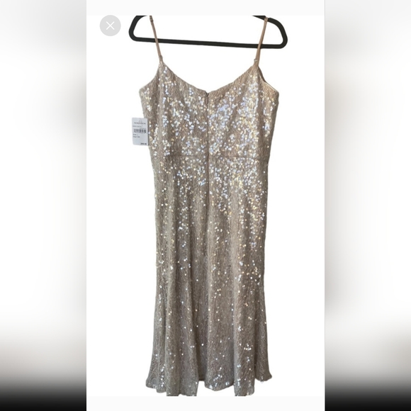 Dress The Population Antonia Dress Off White Lace Sequin MIDI - Picture 3 of 6